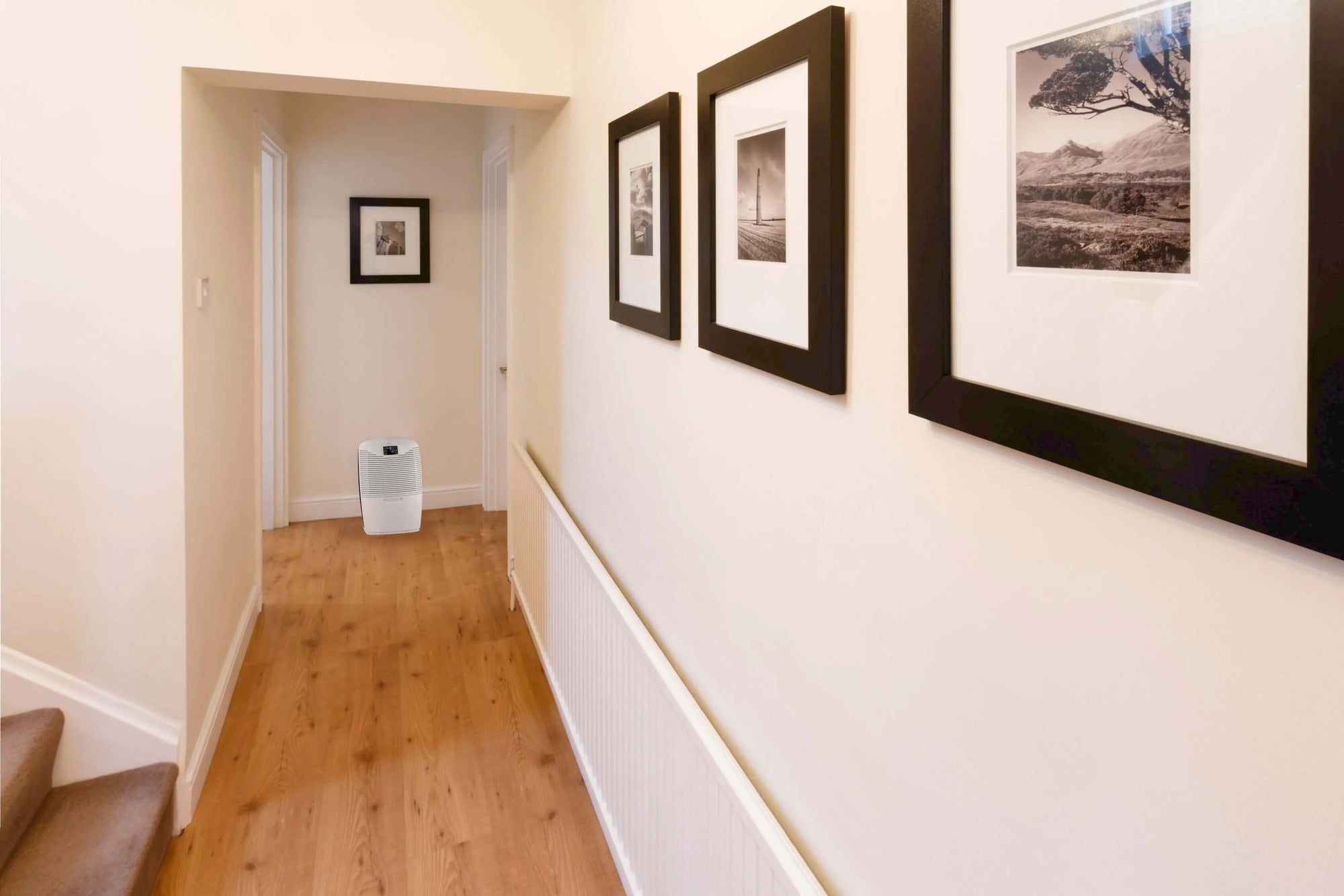 How To Find The Best Bedroom Dehumidifier
