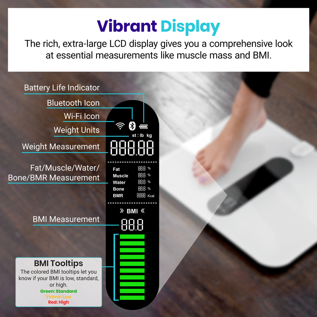 Etekcity ESF00+ Smart Body Weight and Fitness Scale - - RIBI Malta