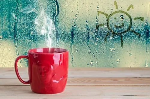 Don’t Let Condensation & Humidity Ruin Your Christmas