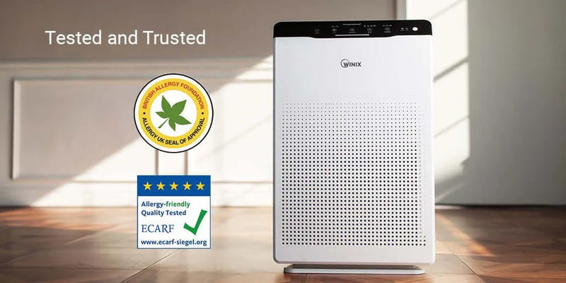 What to Consider When Buying an Air Purifier