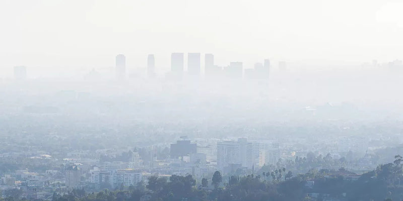 How to keep Airborne Pollution Out of your Home