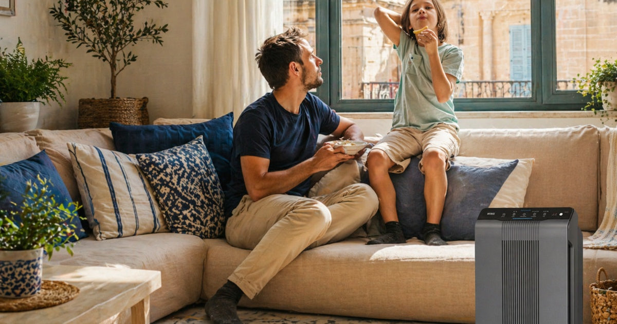 Air purifier in a Maltese home living room improving indoor air quality for families