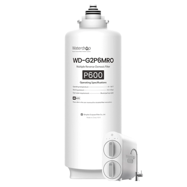 Waterdrop WD-G2P6MRO replacement reverse osmosis filter with an inset of the compatible G2P600 system