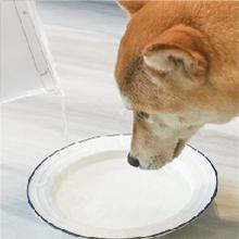 Waterdrop WD-PF01A Replacement filter for PT-05B ( Pack of 3)