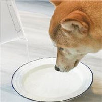 Waterdrop WD-PF01A Replacement filter for PT-05B ( Pack of 3)