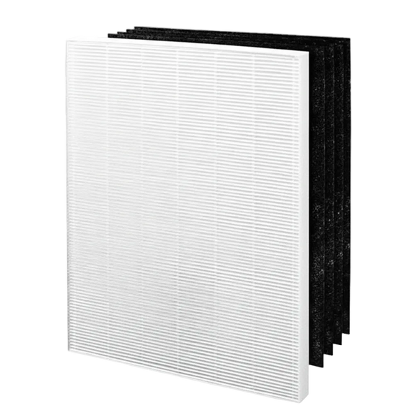 Winix Filter E 123250 for P450 air purifiers, showing a white pleated filter and black carbon sheets