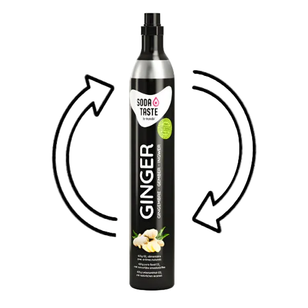 MySoda SodaTaste Ginger 60Ltr C02 Cylinder - EXCHANGE - Soda Maker- RIBI Malta 